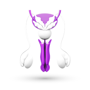 Логотип розділу Чоловіче Здоров'я