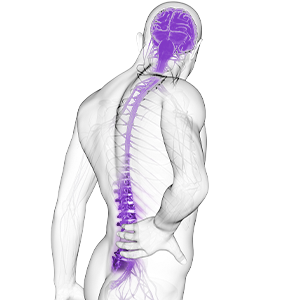 Логотип розділу Біль