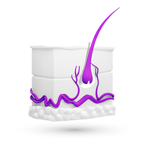 Логотип розділу Дерматологія