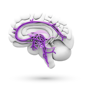 Логотип розділу Психіатрія